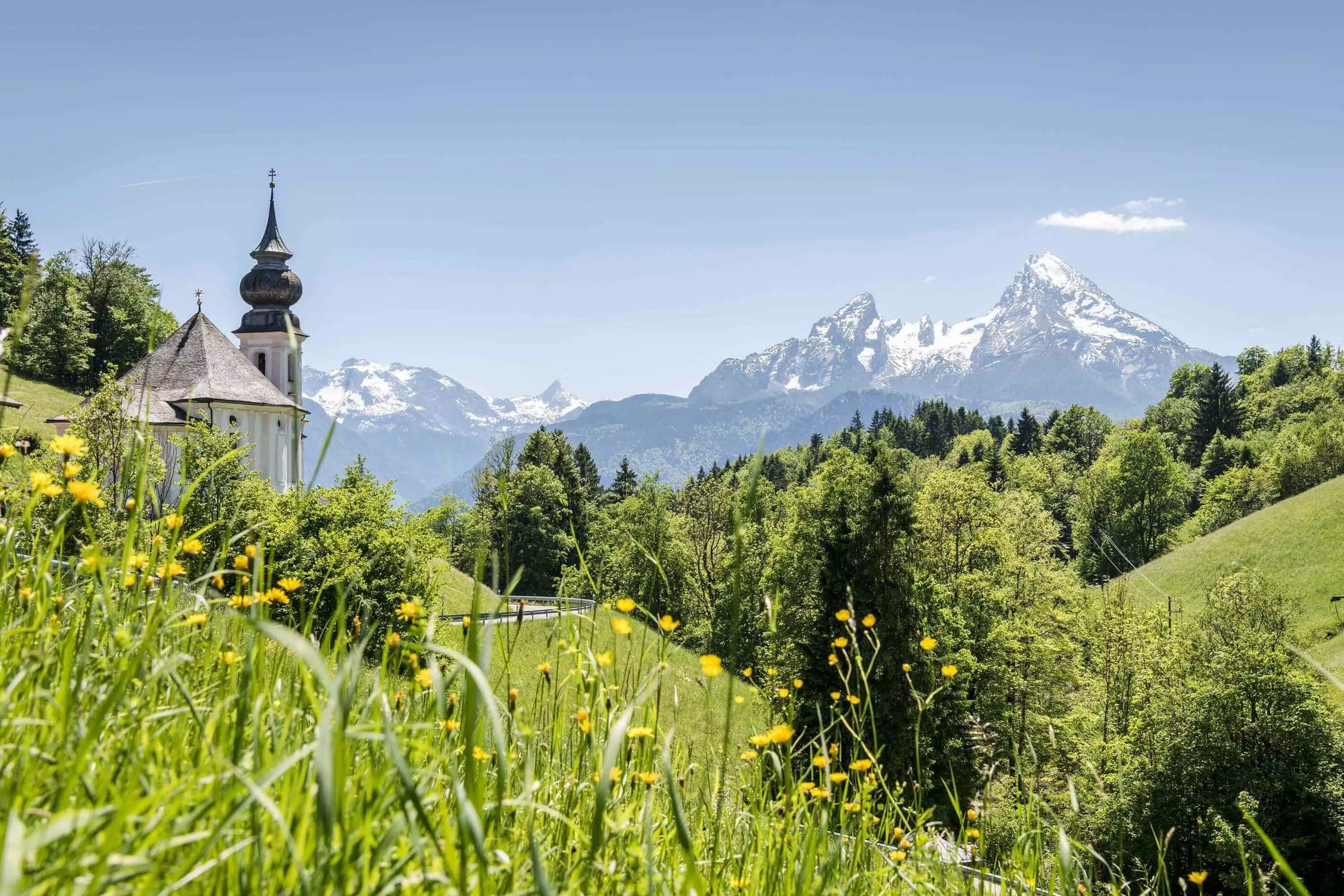 Einwandfreies qualitativ sicheres Produkt